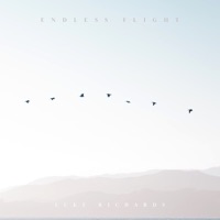 Endless Flight - Luke Richards
