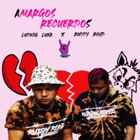 Amargos recuerdos (feat. ludwig luna) - Single - Ruddy Rohd