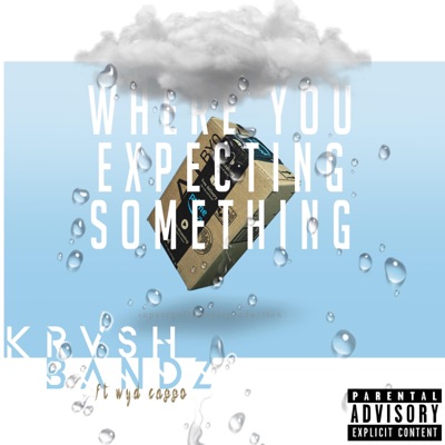 Where You Expecting Something - Single