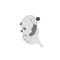 Losing You - bear bear & friends & Gill Chang lyrics