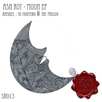 Moon - Ash Roy