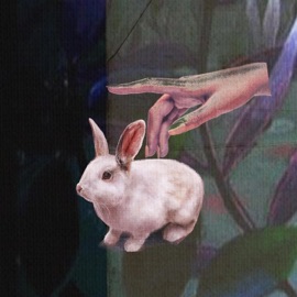 Tulgey Wood Fona & Bertholet