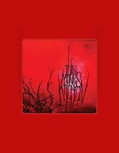 Listen to The Monks Kitchen, watch music videos, read bio, see tour dates & more!