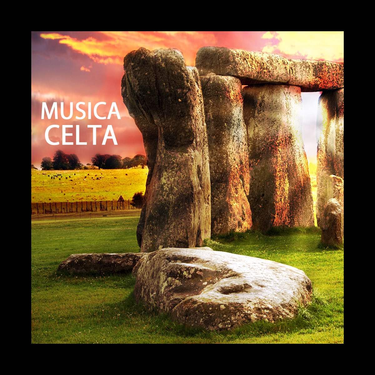 Música Celta - La Mejor Música Celta de Musica Celta All Stars en Apple  Music