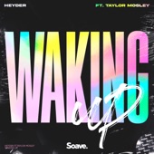 Waking Up (feat. Taylor Mosley) artwork