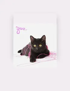 Listen to yarn., watch music videos, read bio, see tour dates & more!