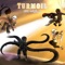 Turmoil (Dream V Nightmare V Ink V Error) - Xtha lyrics