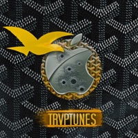 Trvptunes - EP - Rehab on the Track