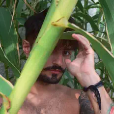 Ascolta Fernweher, guarda video musicali, leggi la biografia, vedi le date del tour & altro!