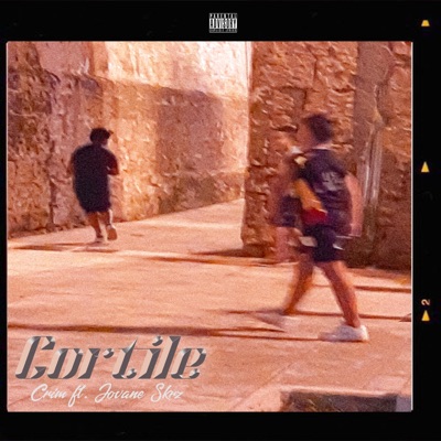 Cortile (feat. Jovane Skrz) - Single