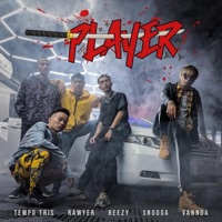 Player (feat. Vannda, Rawyer, Snooga & Reezy) - Single - Tempo Tris