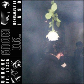 Undone (feat. LYZZA) Know V.A.