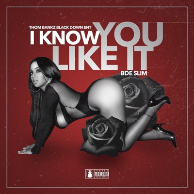 I Know You Like It - Single