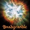 Pardo - Bradycardie lyrics