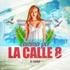 Camina por la Calle 8 - Single