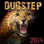 Dubstep 2014 - Various Artists