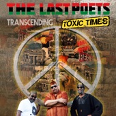 The Last Poets - Rain of Terror