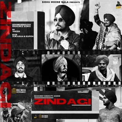 Zindagi (feat. Nseeb) - Single