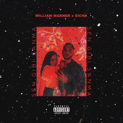 Sen Gibi Sanma (feat. William Marner) - Single