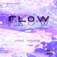FLOW (feat. FORTUNEX JR & 9Cloud) - Single - Xao'9