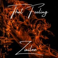 That Feeling - Single - Zuilee