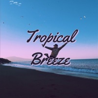 Tropical Breeze (feat. II3asyII) - Single - TIVIC