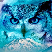 Flow (feat. Catbamboo & Ando San) - Single - The Polite Heretic