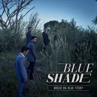 ถ้าเรายังคิดถึงกัน — Blue Shade