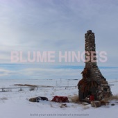 Blume Hinges - Nobody's Daughter