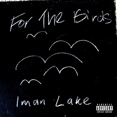 For the Birds - Single