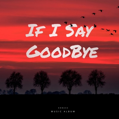 If I Say Goodbye - Single