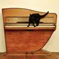 Snow Airport (for Piano)