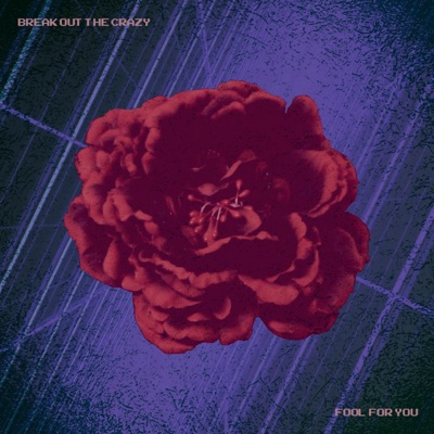 Fool For You - Single