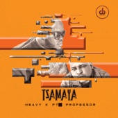 Tsamaya (feat. Professor) artwork