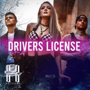Drivers License - Single