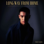 Long Way From Home artwork