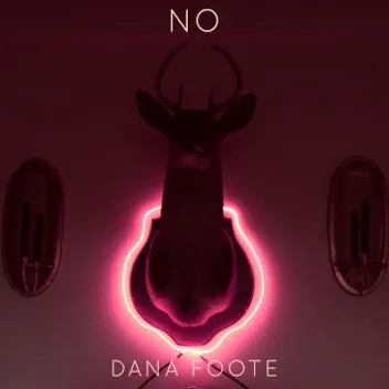 No album cover