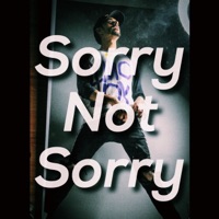 Sorry Not Sorry - Single - Pranah