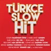 Various Artists
