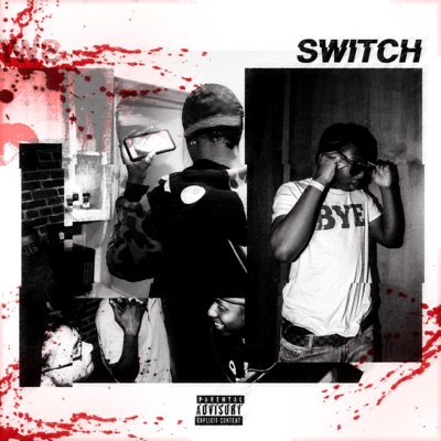 Switch - Single