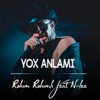 Yox Anlamı (feat. N-Lee) - Single