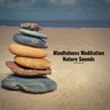 Mindfulness Meditation - Nature Sounds