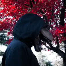 聆聽 Velocitraptor、觀看音樂影片、閱讀小傳、查看巡演日期等！