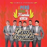 Gran Orquesta Internacional - Cariñito / Elsa / Mentirosa / Colegiala / El Aguajal / Viento (Mix Cumbias Peruanas En Vivo)