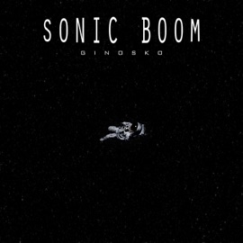 Sonic Boom Ginosko