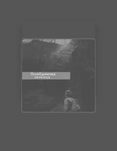 ПсихОдиночка dinle, müzik videolarını izle, biyografisini oku, tur tarihlerini ve daha fazlasını gör!