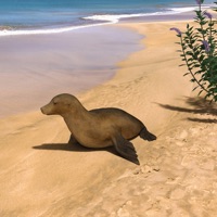 Good Morning / Not Today - Single - Bonaparte & Acid Pauli