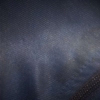 ZingZong (Instrumental Version) - Single - Clara