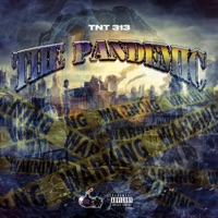 The Pandemic - Tnt 313