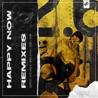 Happy Now (Remixes) - EP - D3EPANK